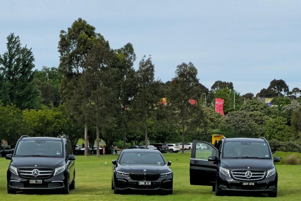 um grupo de três carros estacionados em um campo