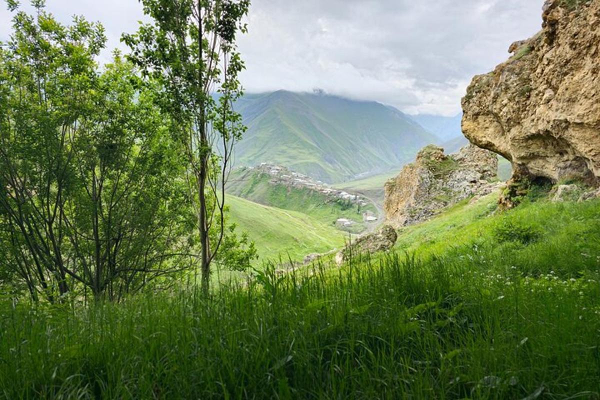 a grassy hill with a view of a mountain