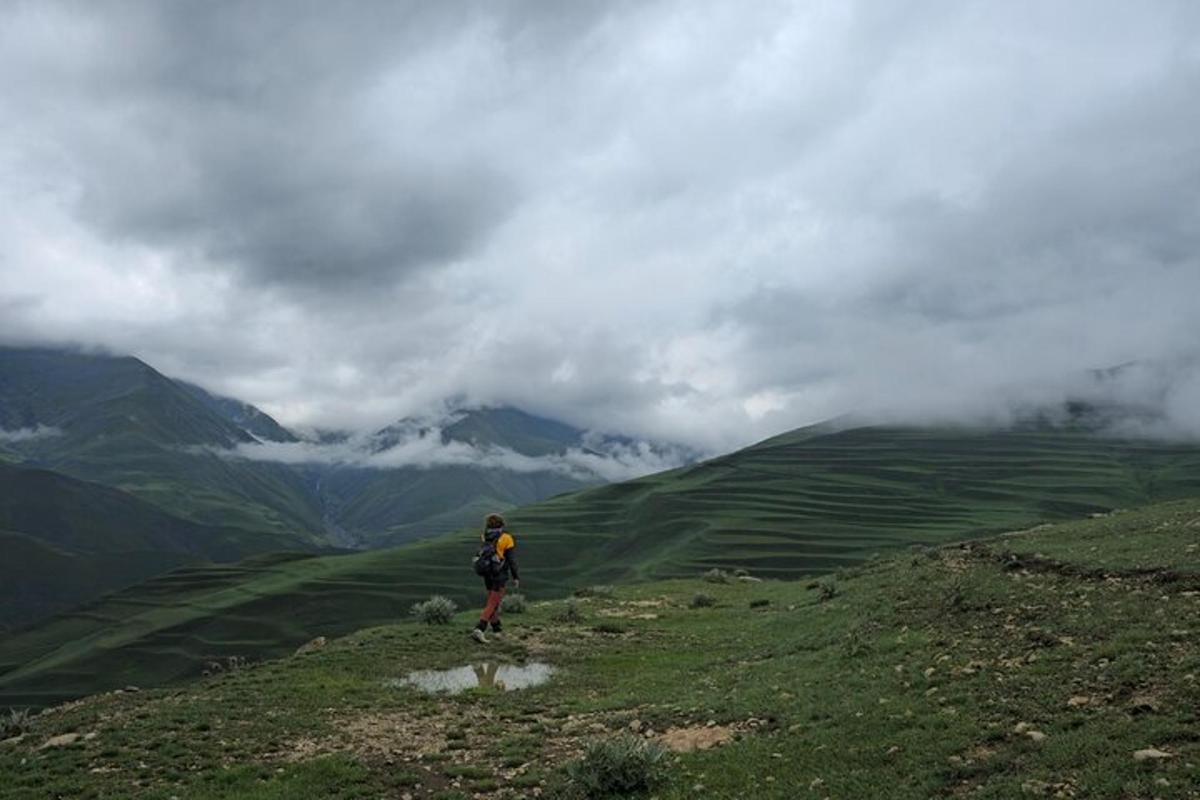a person walking on a hill with a dog