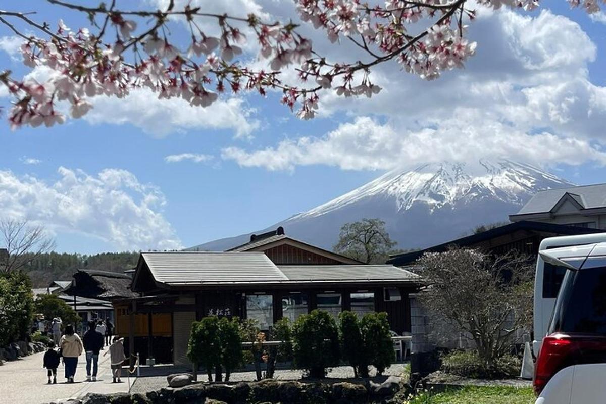 una muntanya nevada en la distància darrere d'un edifici