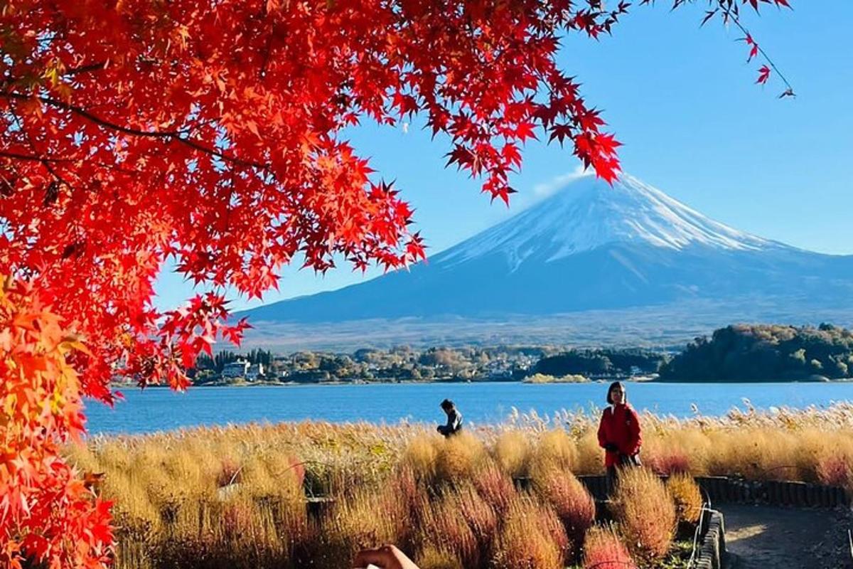 a mountain in the distance with a person standing in a field