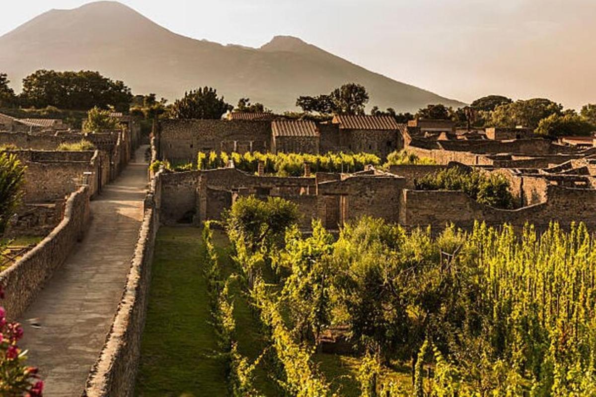 una vista di un villaggio con una montagna sullo sfondo