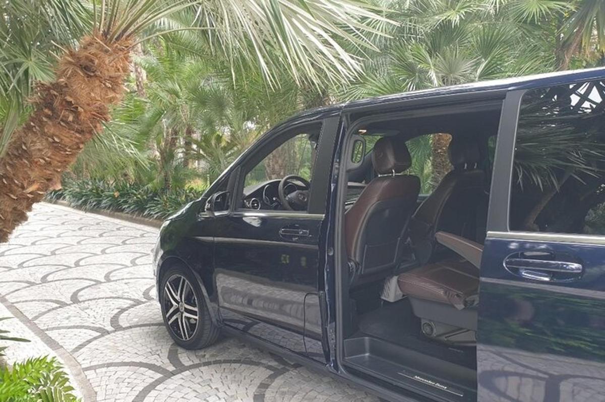 egy fekete furgon parkolt egy pálmafa mellett