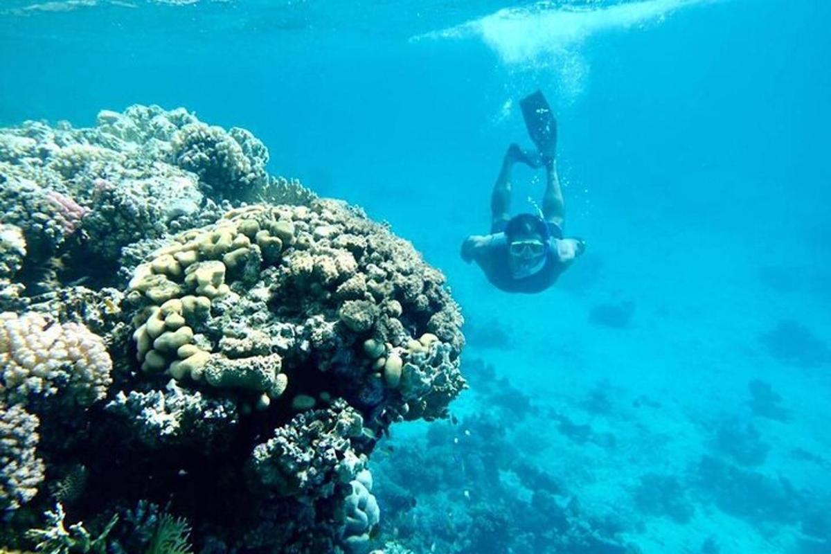 サンゴ礁の近くの海で泳いでいる人