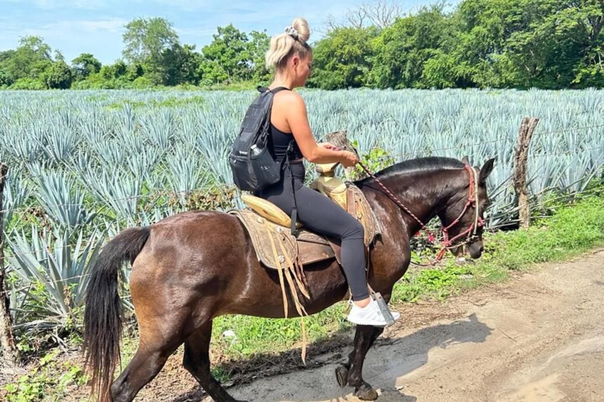 a woman riding a horse in front of a field