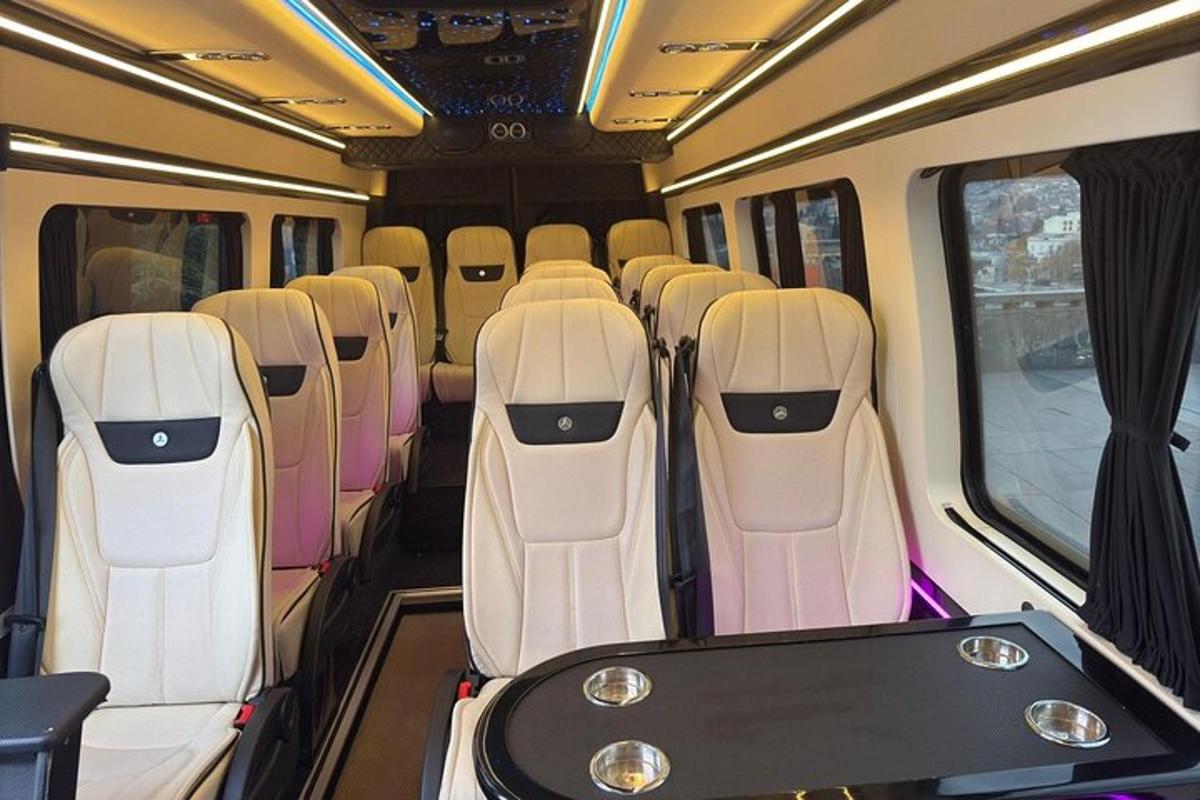 un rând de scaune goale într-un tren
