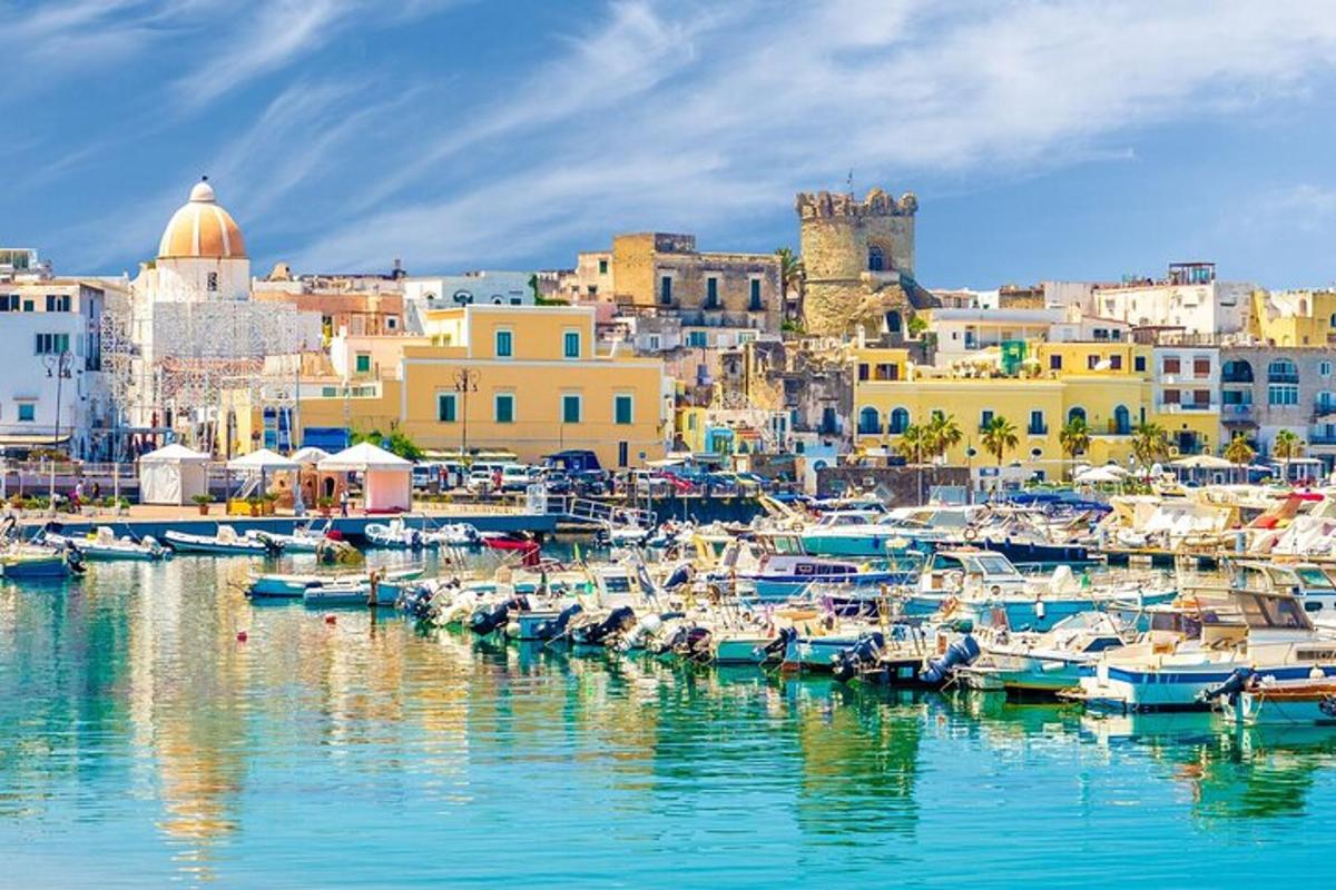 a group of boats docked in a harbor with buildings