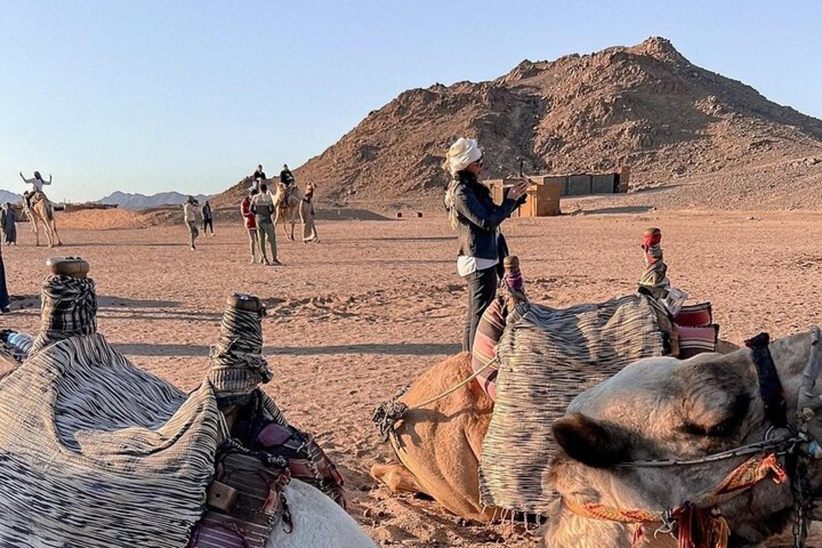 a person standing next to a camel in the desert