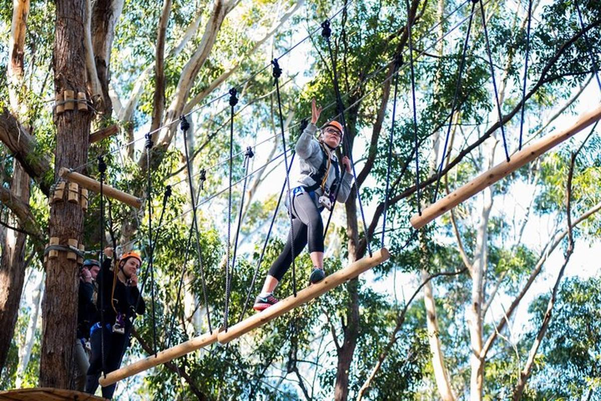 a woman is climbing on a rope park