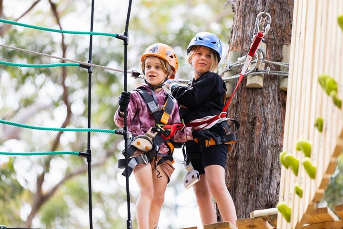 dua anak di jalur zipline di pohon