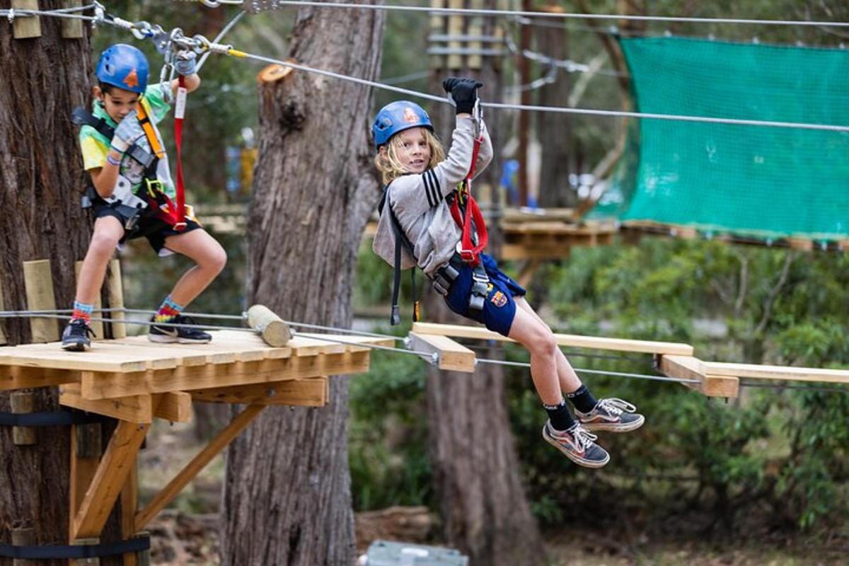 dua anak di jalur zipline di pepohonan