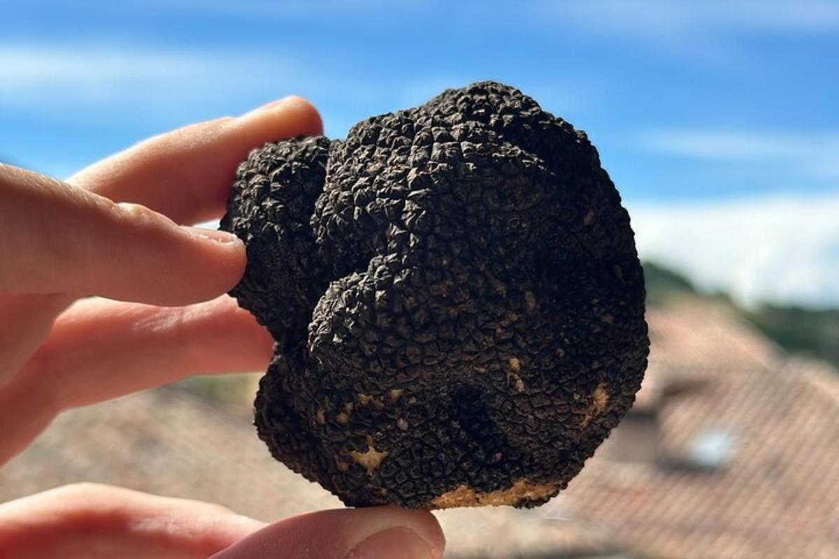 una persona tiene in mano un pezzo di cibo