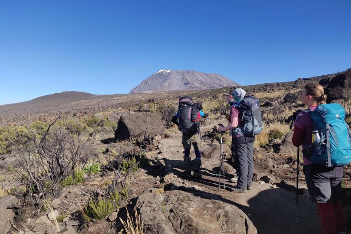 un grup de persones caminant per un sender al desert