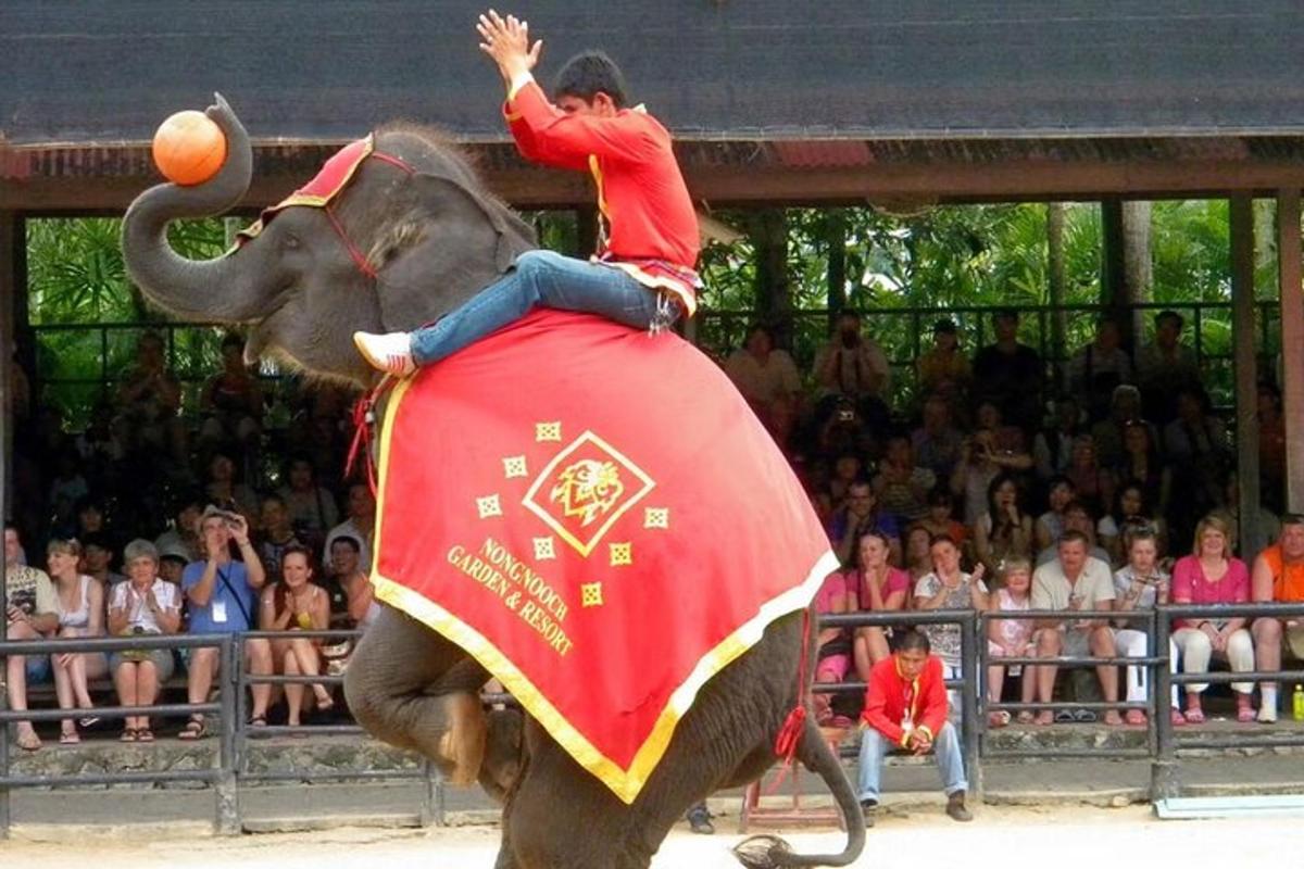 a man riding on the back of an elephant with a ball