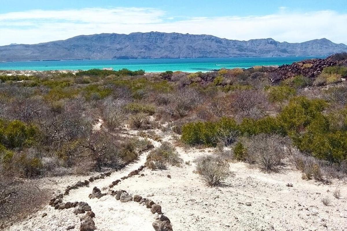 a trail in the desert with the ocean and mountains