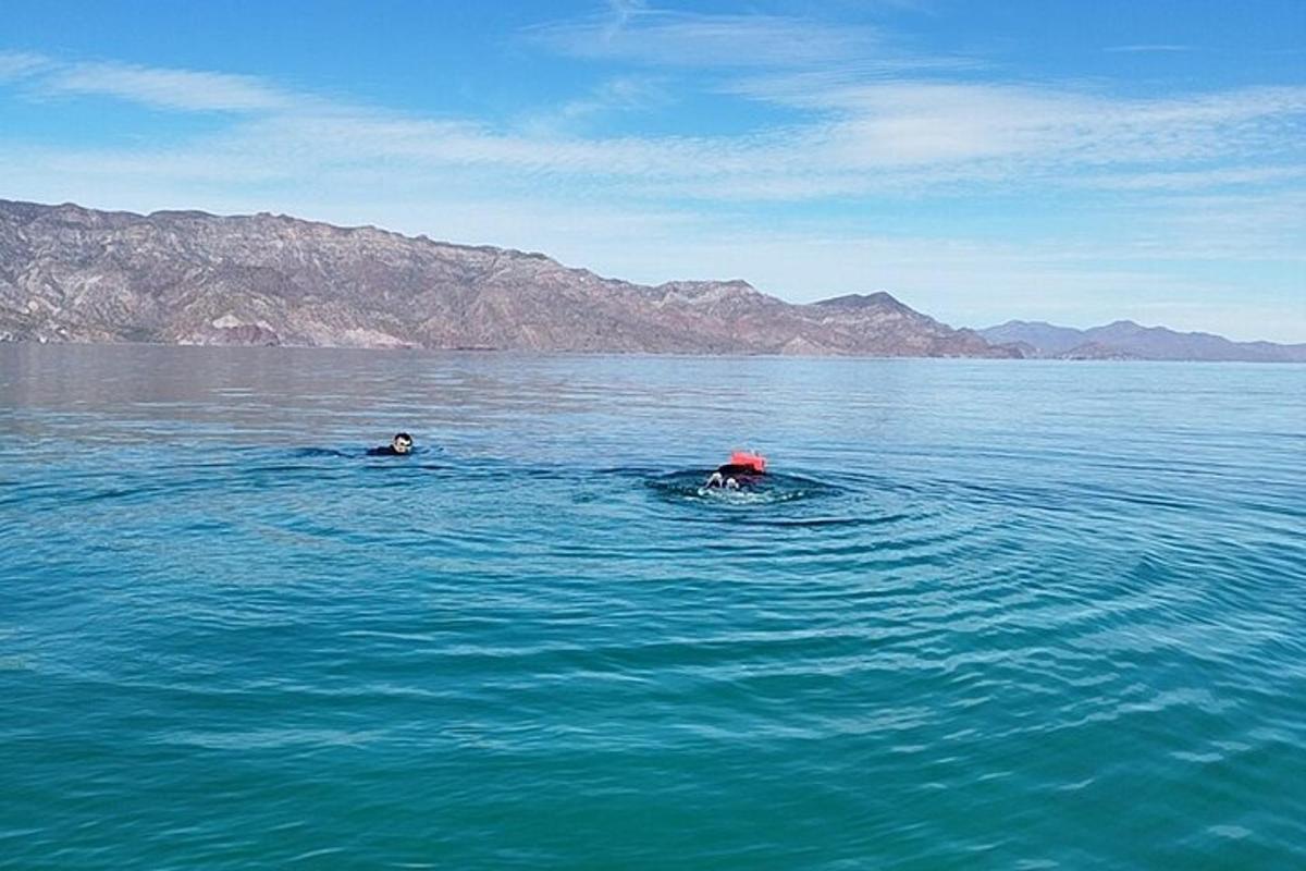 two people swimming in a large body of water