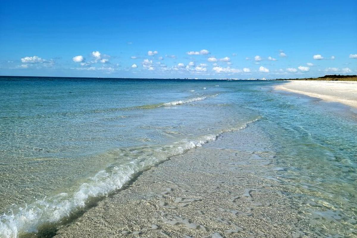 en strand med havet og kystlinjen