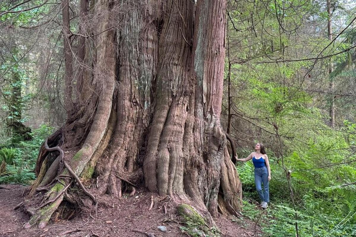 una donna in piedi accanto a un grande albero