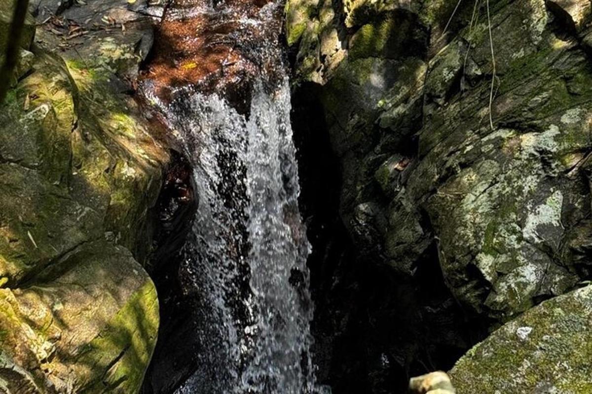 un flusso d'acqua che scorre tra alcune rocce