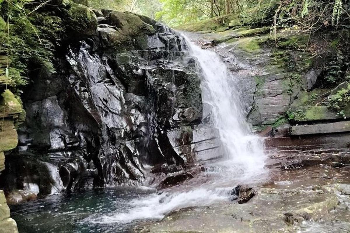 una cascata sul fianco di una montagna con acqua