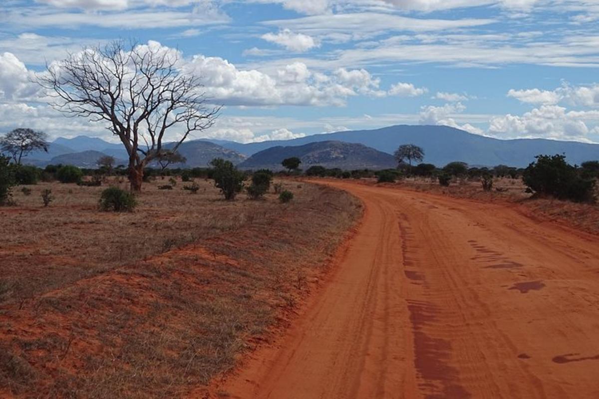 un camino de tierra en medio de un campo