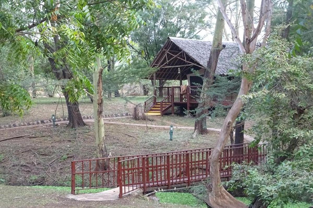 một hàng rào đỏ trước một cabin trong rừng