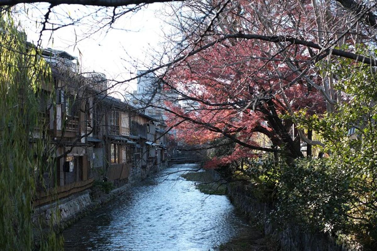 建物のある川とピンクの花が咲いた木