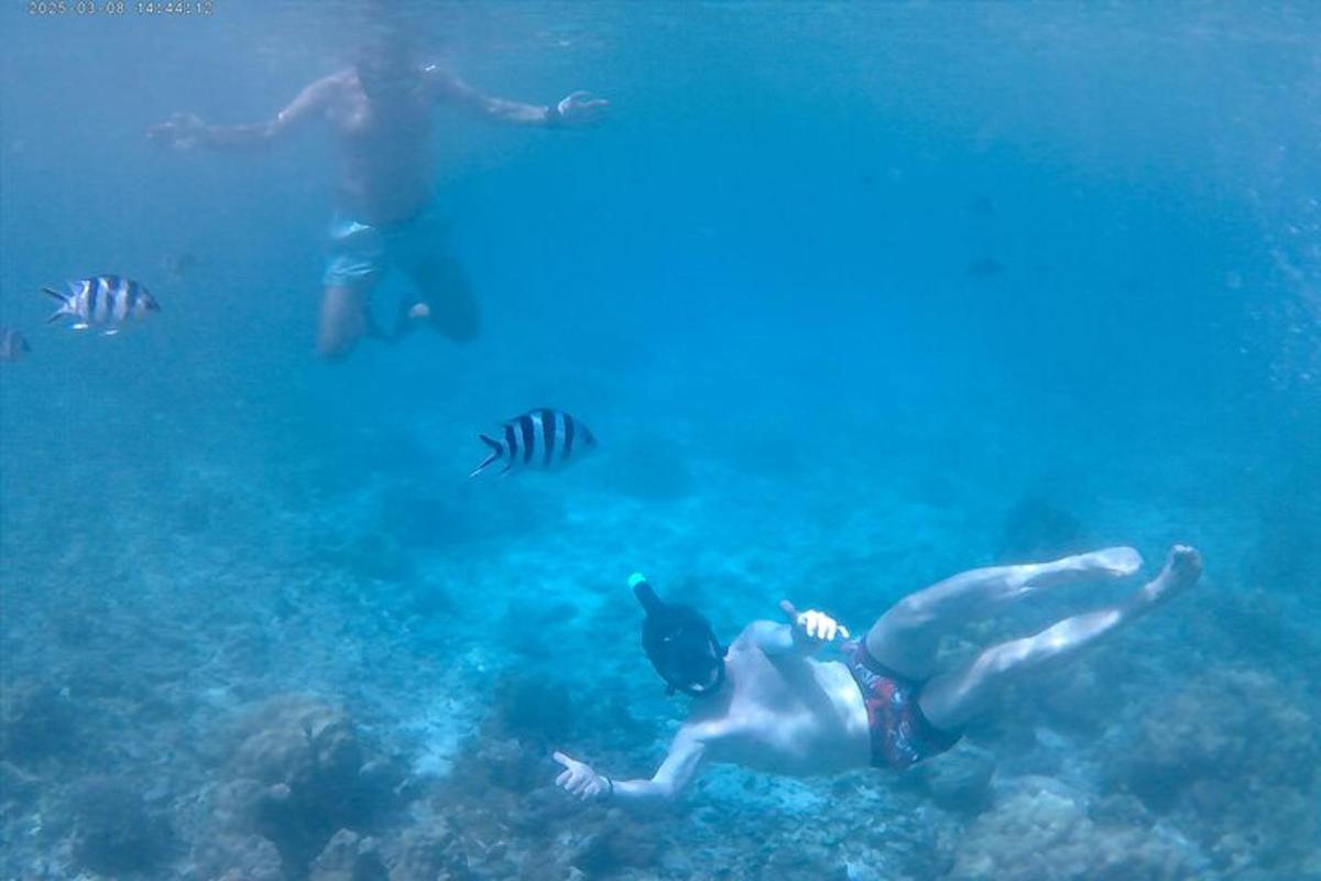 two people swimming in the ocean with fish