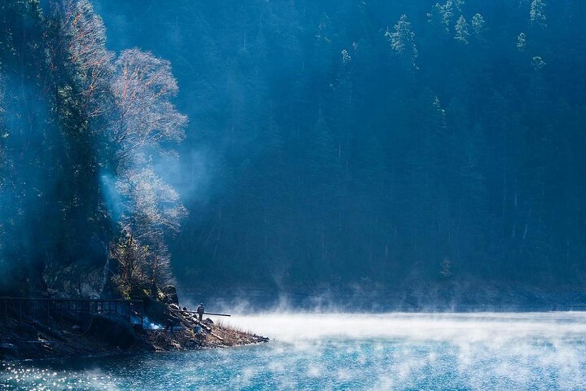 a body of water with a tree in the background