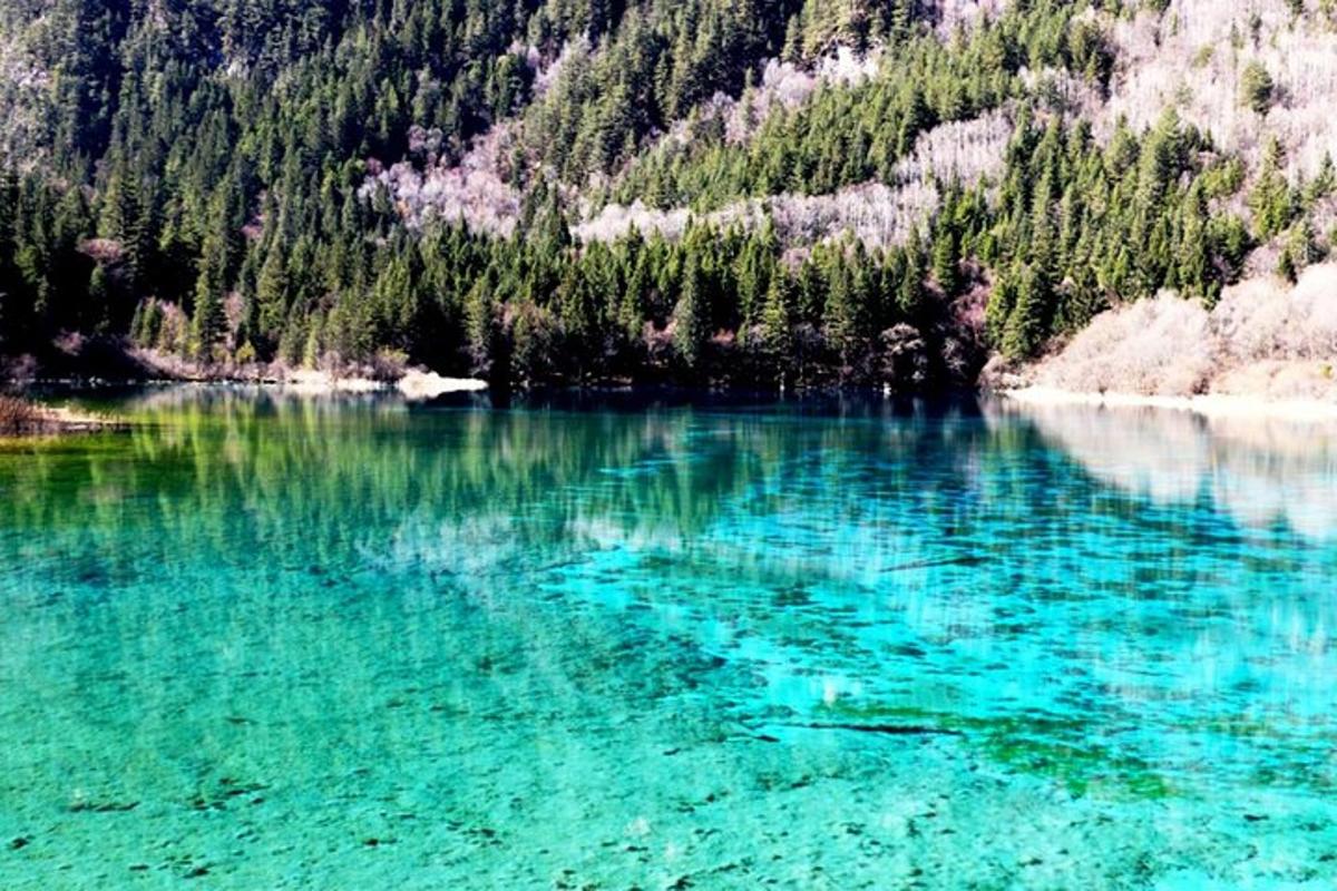 a body of blue water with trees in the background
