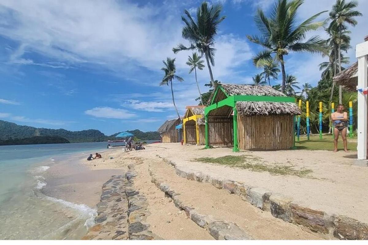 Una playa con casas y palmeras y el océano.