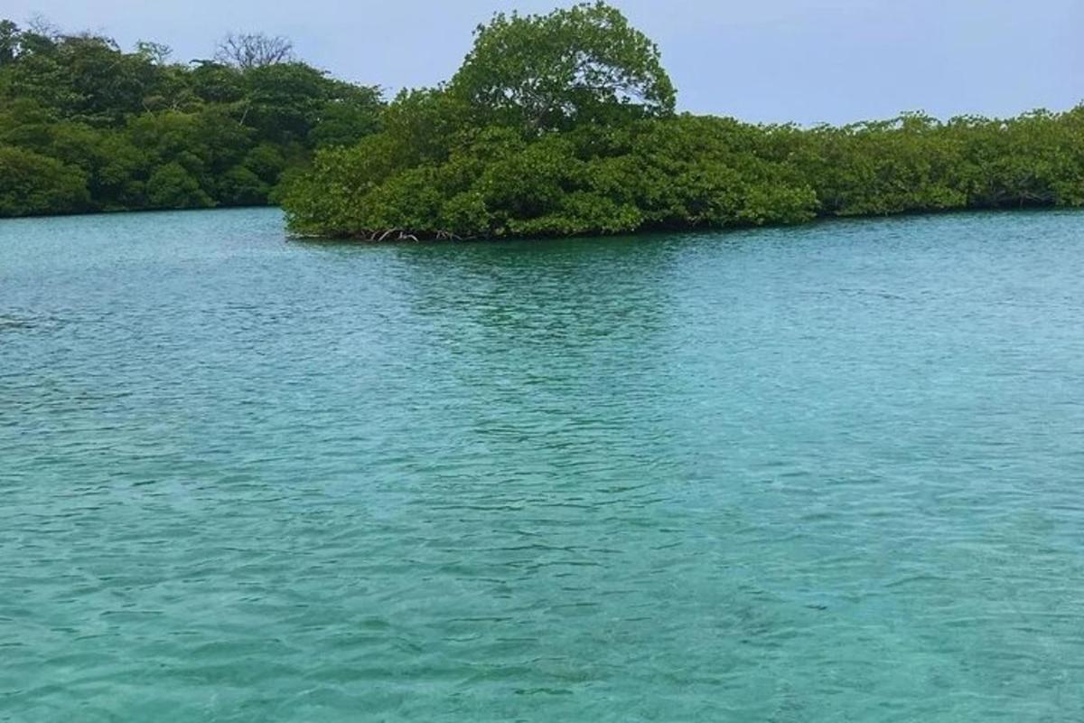 Un gran cuerpo de agua con árboles al fondo.