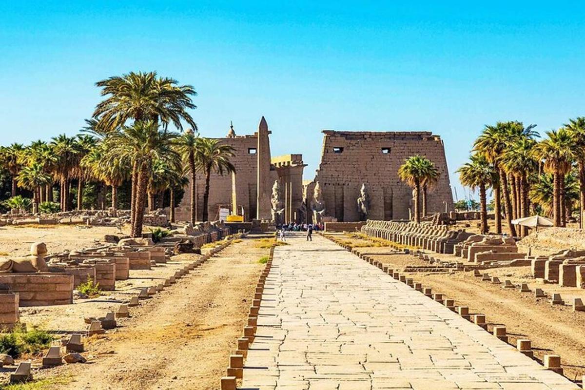un carrer davant d'un edifici amb palmeres