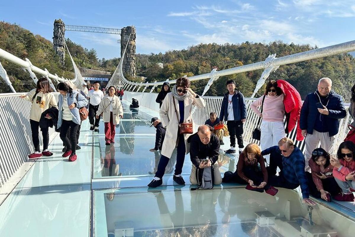 a group of people standing on the glass floor of a bridge