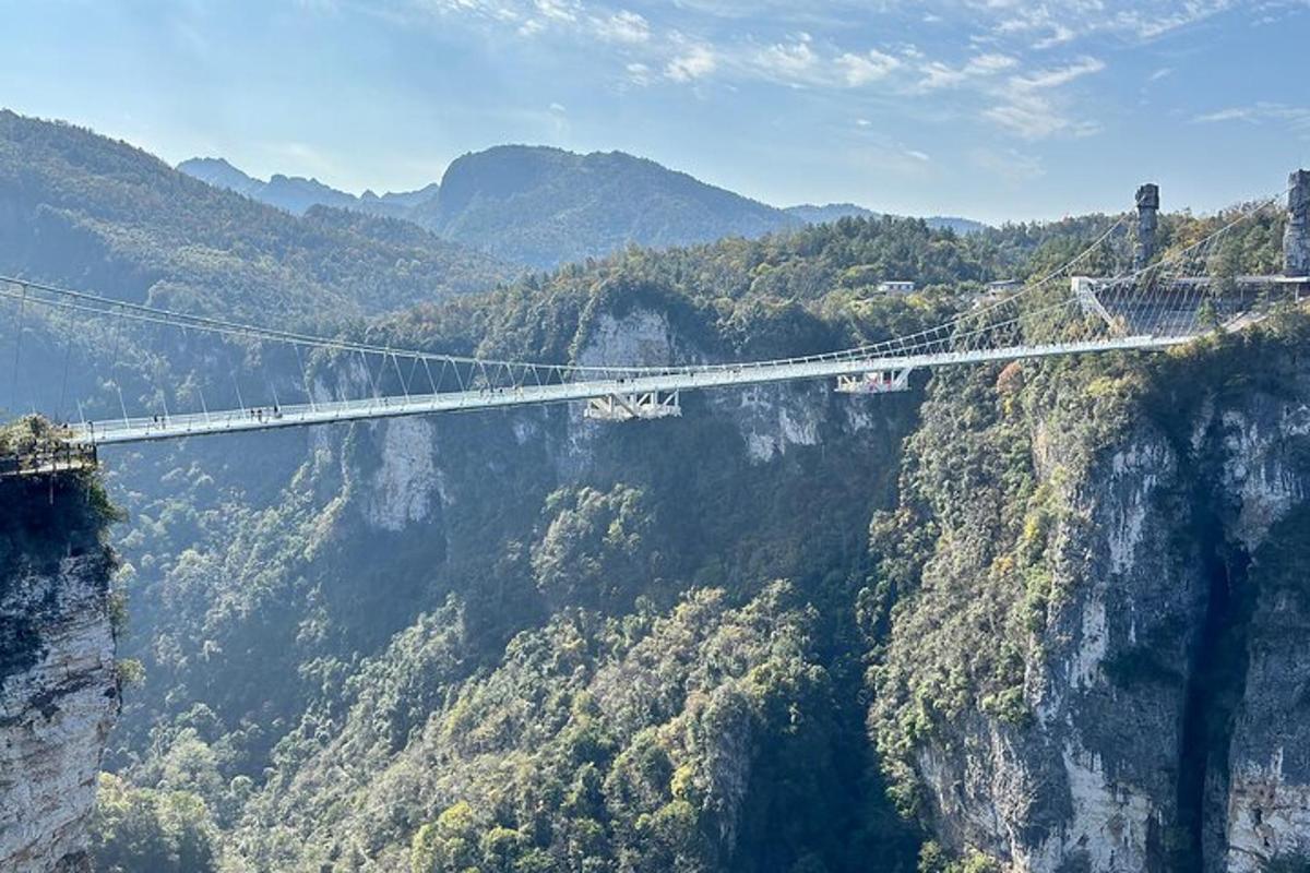 a suspension bridge over a canyon in the mountains