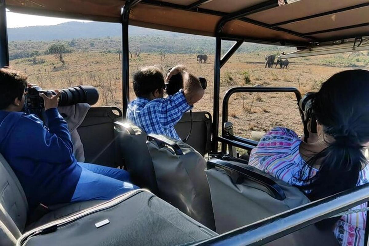 a group of people taking pictures of elephants in a vehicle
