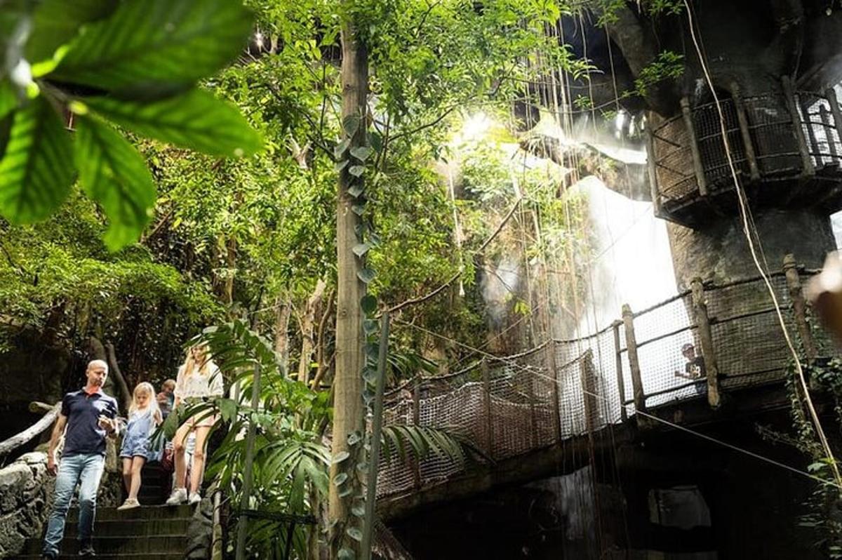 Attraction picture 7