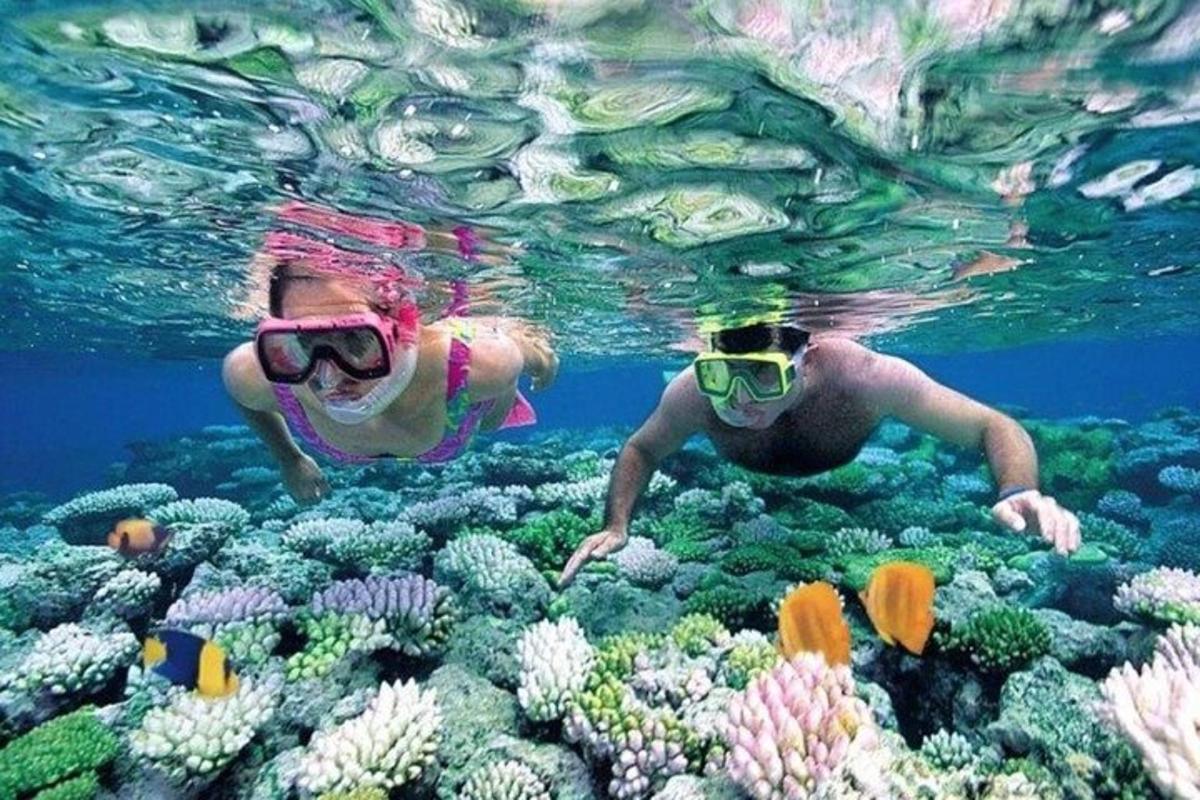 due persone stanno nuotando su una barriera corallina
