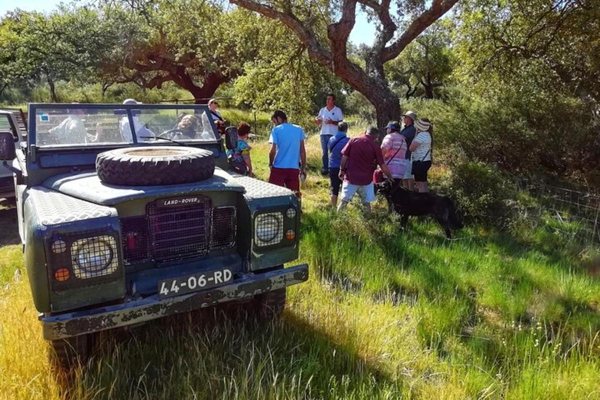 μια ομάδα ανθρώπων που στέκονται γύρω από ένα φορτηγό σε ένα χωράφι