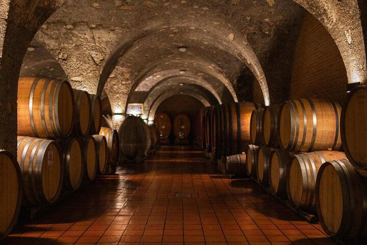 una fila de barriles de vino en una bodega