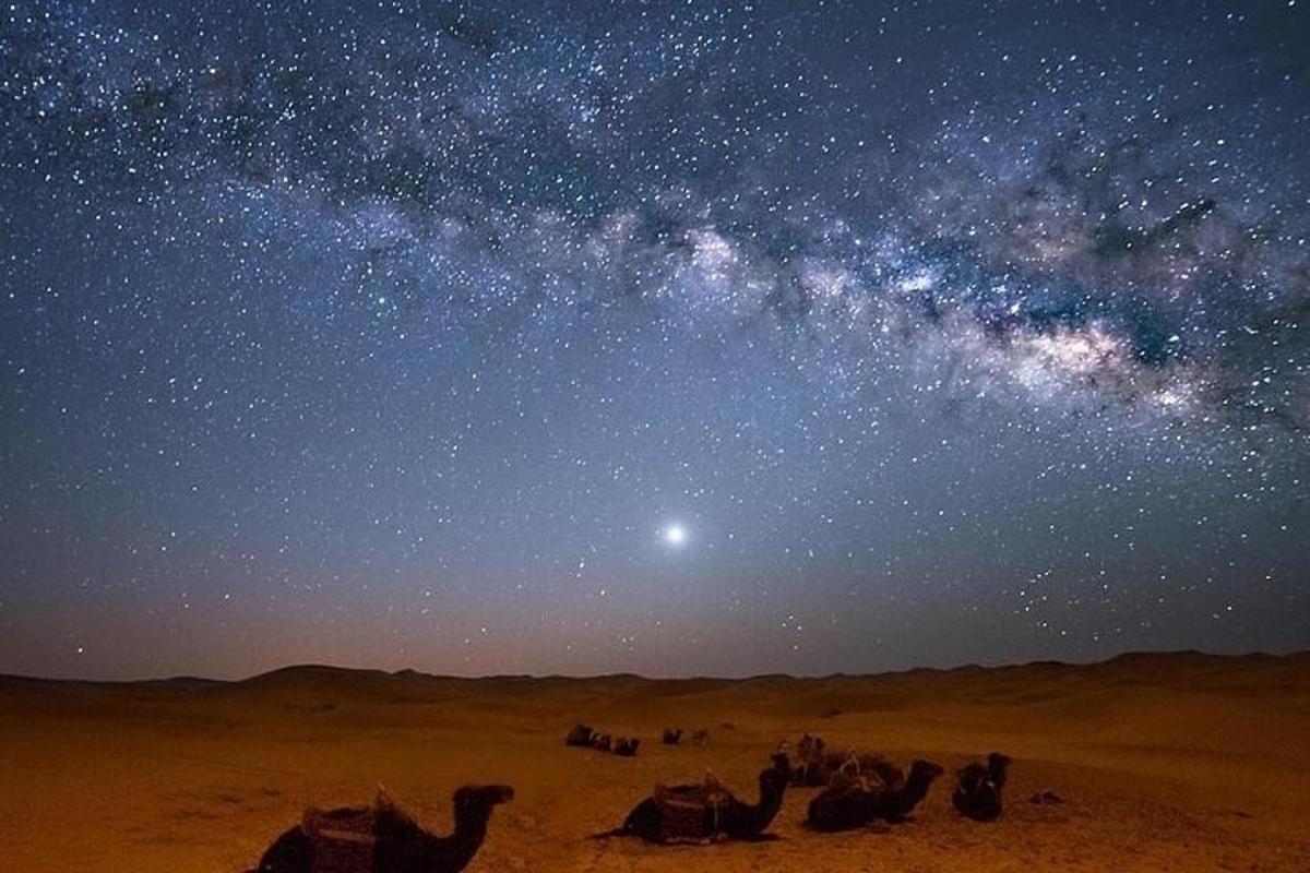 um grupo de camelos no deserto sob um céu estrelado