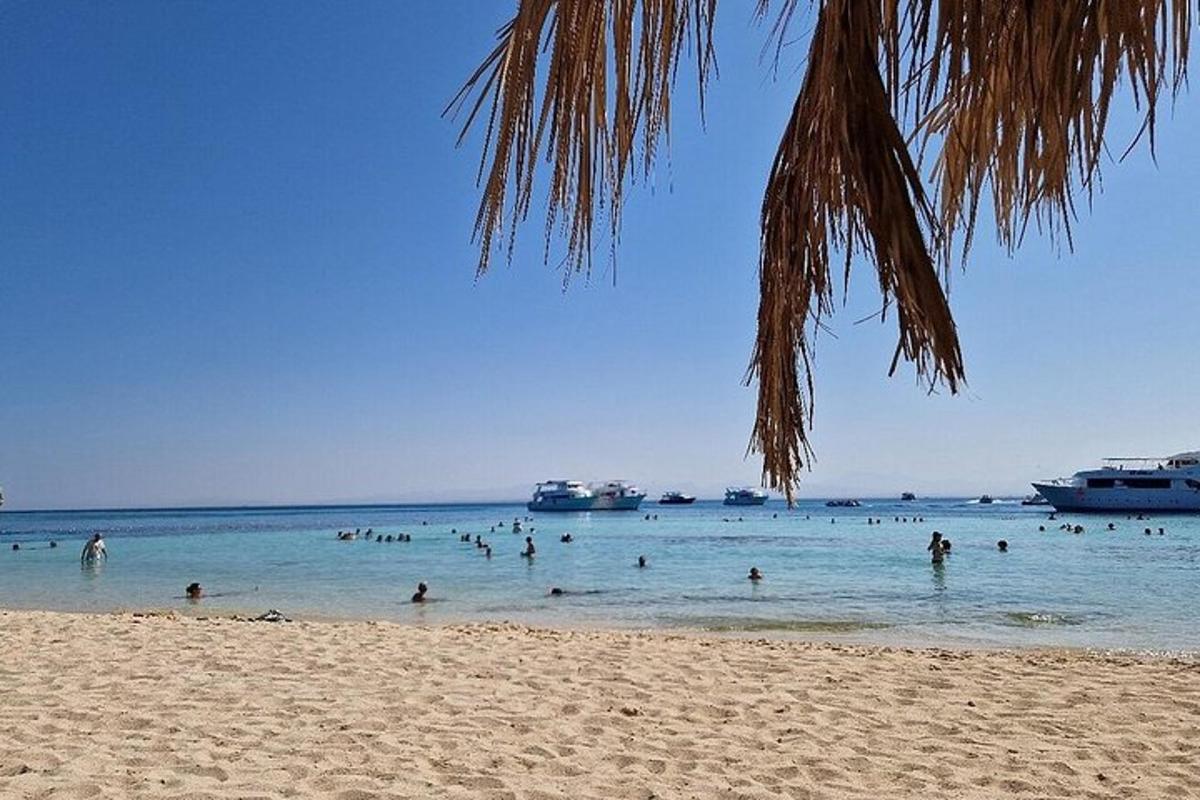 un grupo de personas en el agua en una playa