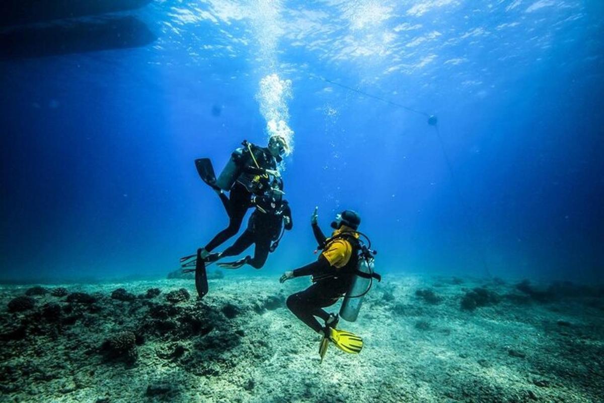 dvoje ljudi rone u oceanu
