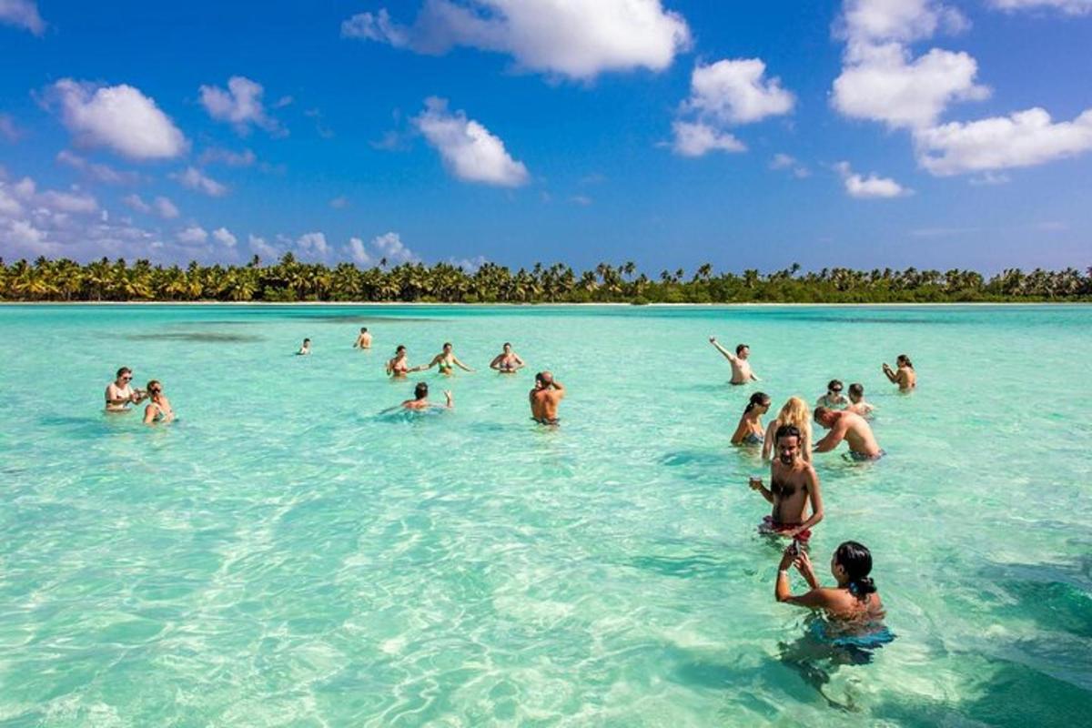 a group of people in the water on a beach