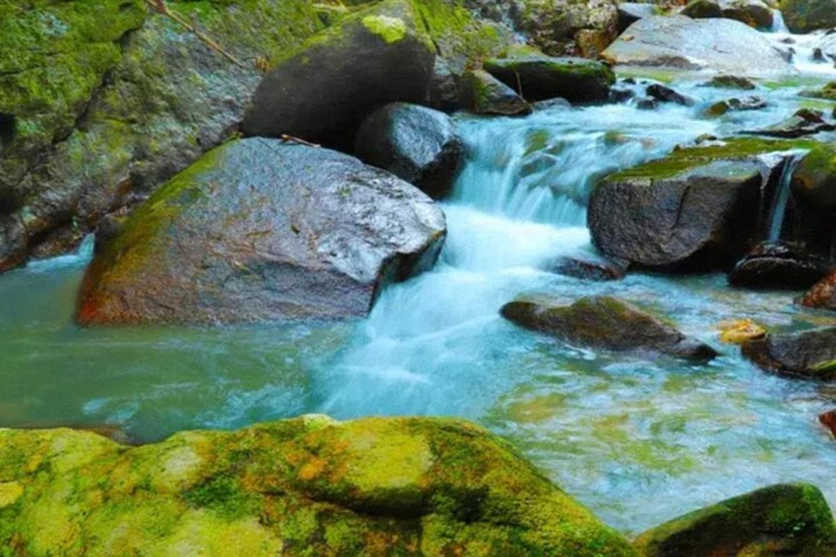 a stream of water with rocks in a river