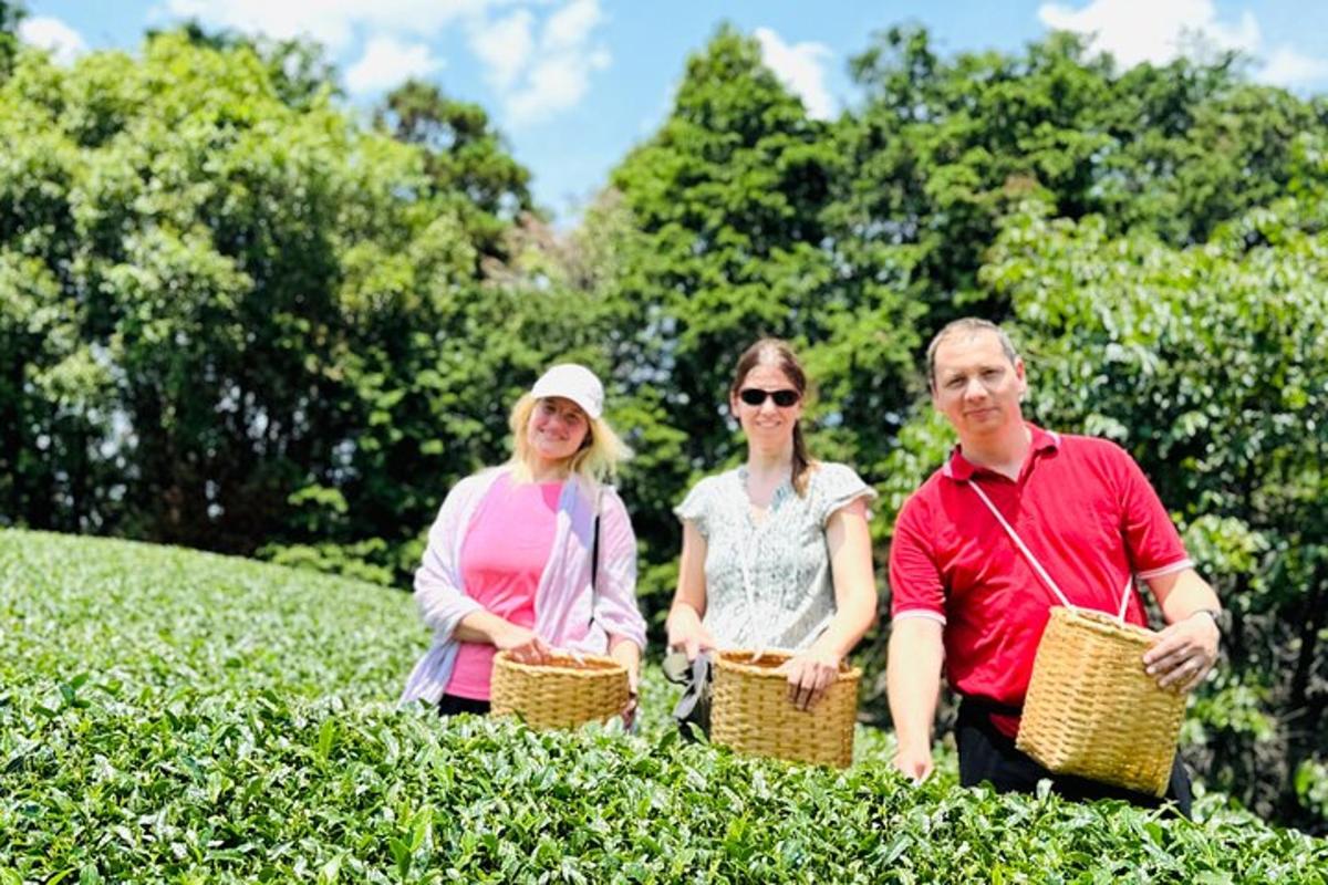 Un grupo de tres personas de pie en una plantación de té.