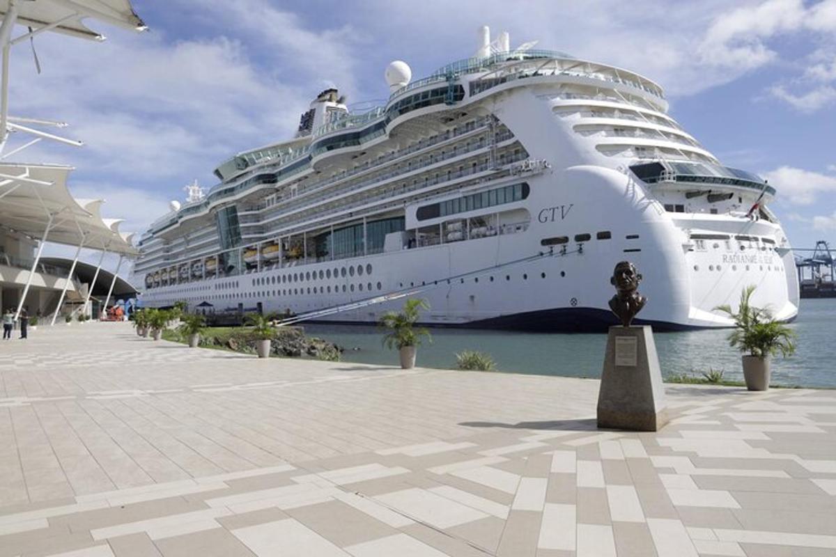 Un crucero está atracado en el agua