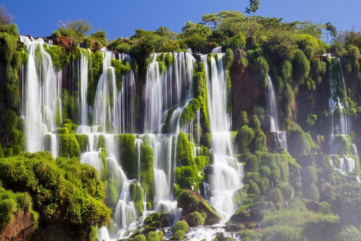 a waterfall in the middle of a forest