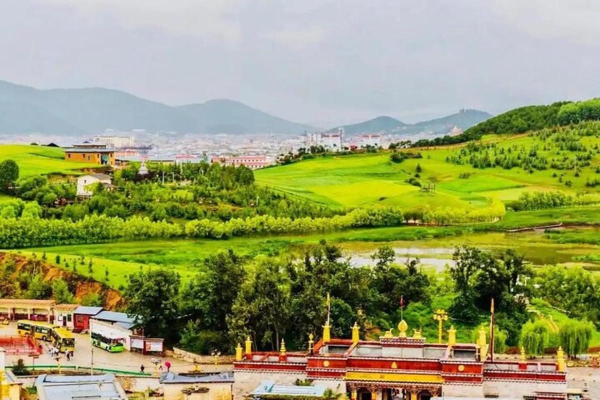 a view of a town with a hill and a city