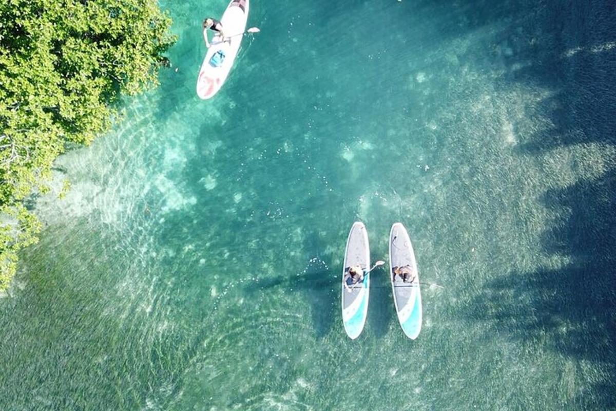 two people in surfboards in the water